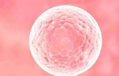 教育女儿：从《玫瑰的故事》看如何培养独立自信的孩子