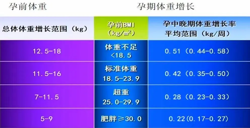 胎儿在六个月时的大小和发育标准，你了解吗？