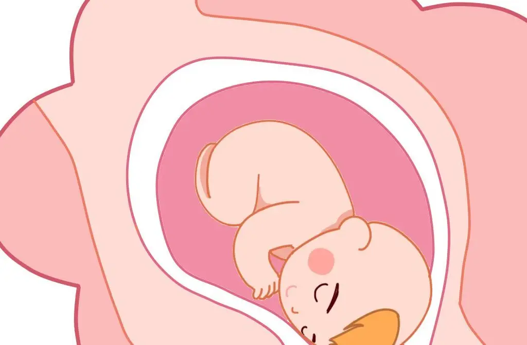怀孕一个月肚子疼怎么办？停孕再孕交流圈为你详细解释