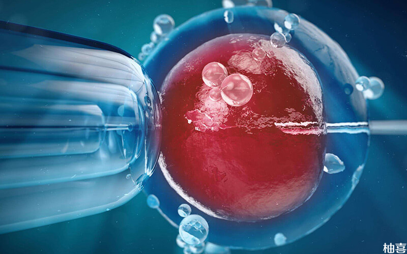 人工授精成功率解析：做几次能成功？能否一个月多做几次？
