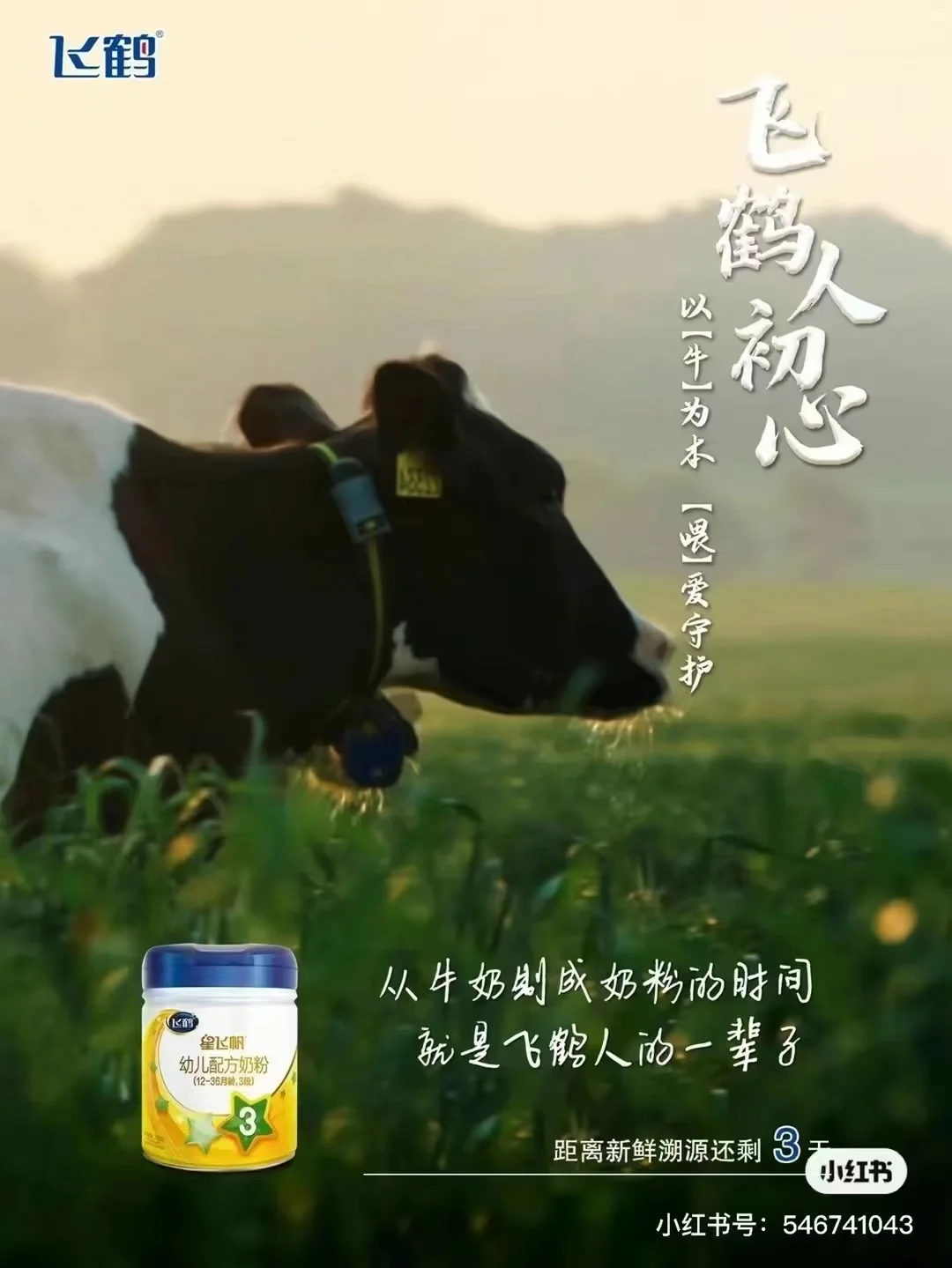 圣元优博瑞慕和旗帜帜亲奶粉对比，哪款更适合宝宝？