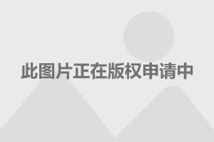 安全座椅必不可少，别让孩子处于危险之中