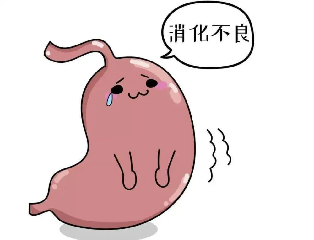 端午节快速解决消化不良小妙招，你知道吗？