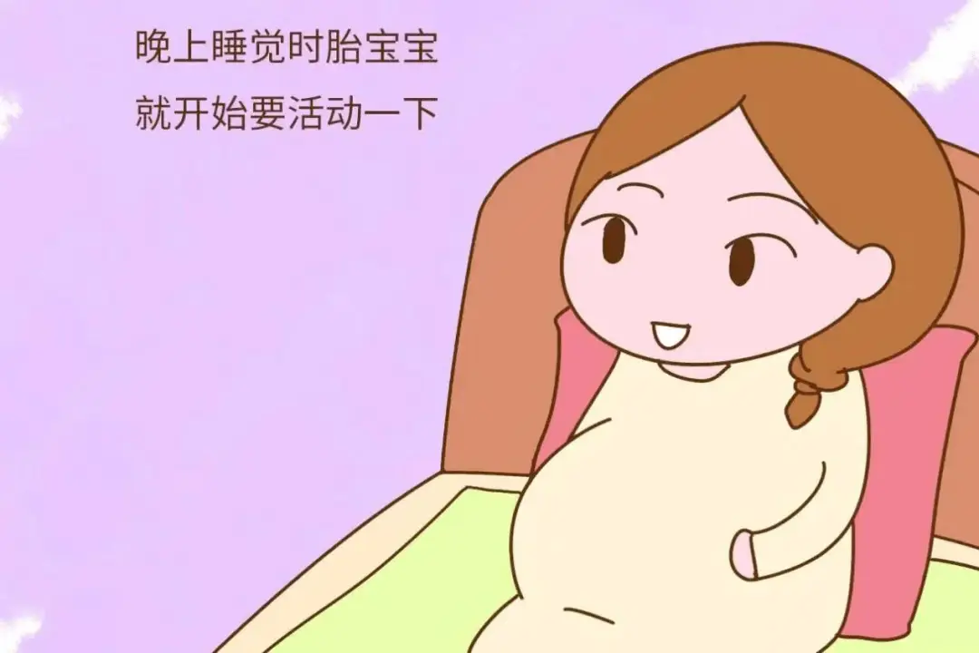 揭秘胎儿睡眠：一天睡多久？睡眠周期是怎样的？