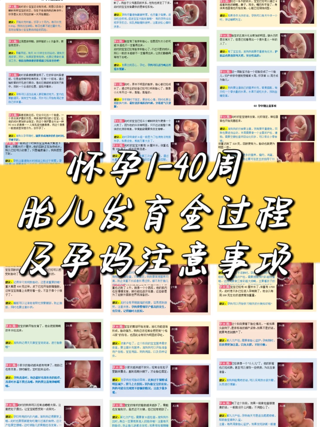 怀孕 9 周胎儿发育情况大揭秘，孕妈必知的关键时期