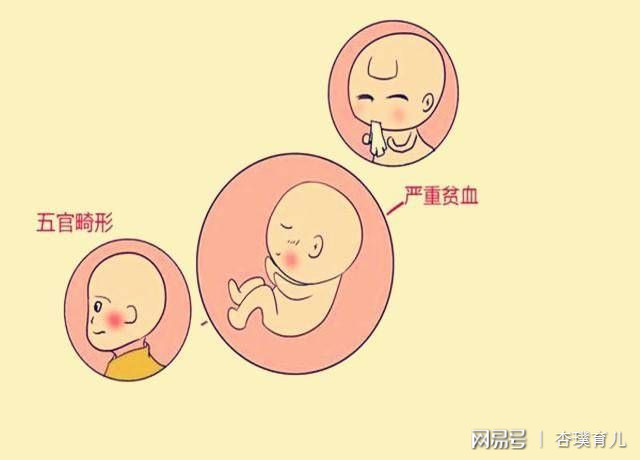 90 后孕妈须知：孕早期胎儿畸形几率大，如何预防？